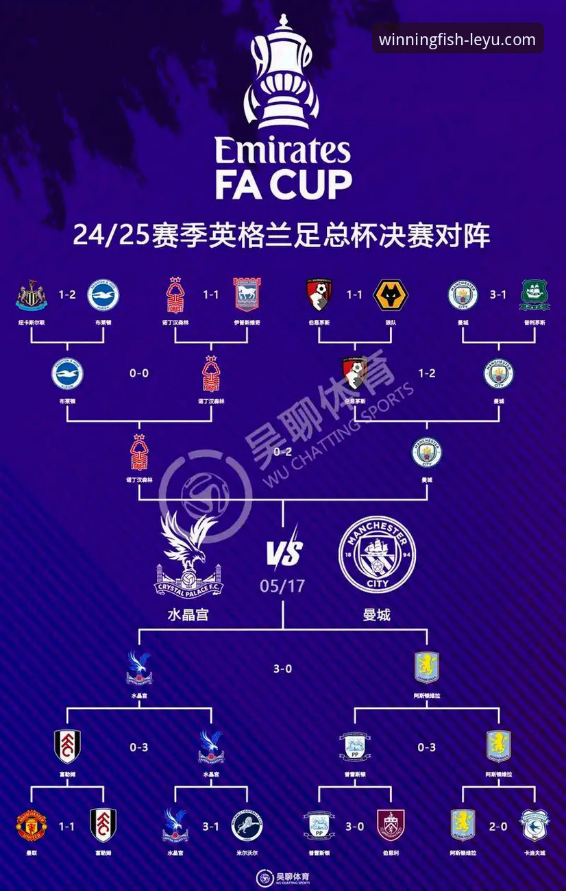 足总杯战术复盘：狼队的坚韧防守 vs 利物浦的闪电攻势，谁主导了比赛？